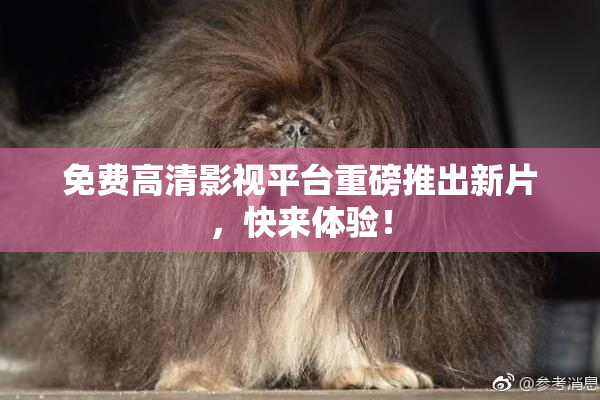 免费高清影视平台重磅推出新片，快来体验！