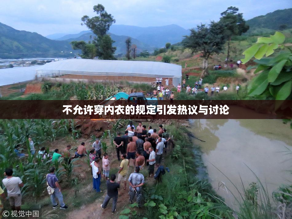 不允许穿内衣的规定引发热议与讨论