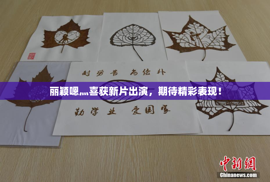 丽颖嗯灬喜获新片出演，期待精彩表现！