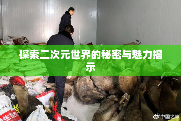 探索二次元世界的秘密与魅力揭示