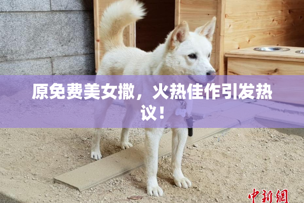 原免费美女撒，火热佳作引发热议！