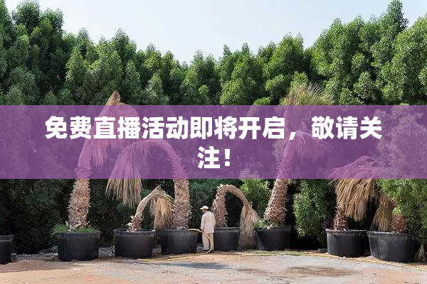 免费直播活动即将开启，敬请关注！