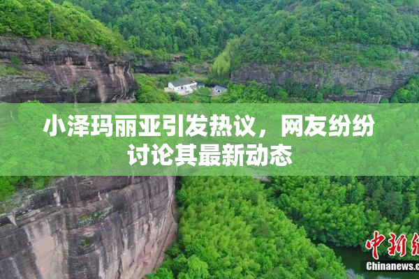 小泽玛丽亚引发热议，网友纷纷讨论其最新动态