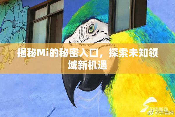 揭秘Mi的秘密入口，探索未知领域新机遇