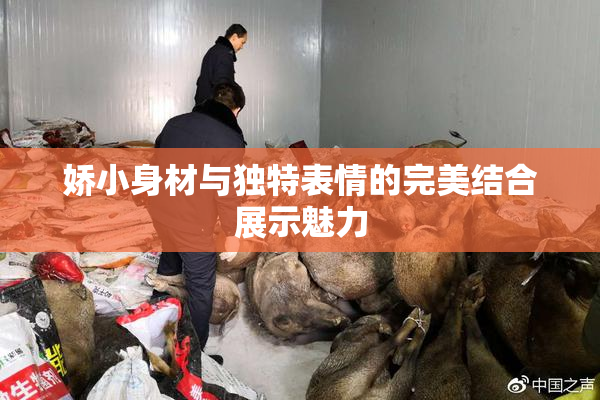 娇小身材与独特表情的完美结合展示魅力