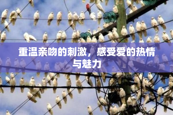 重温亲吻的刺激，感受爱的热情与魅力