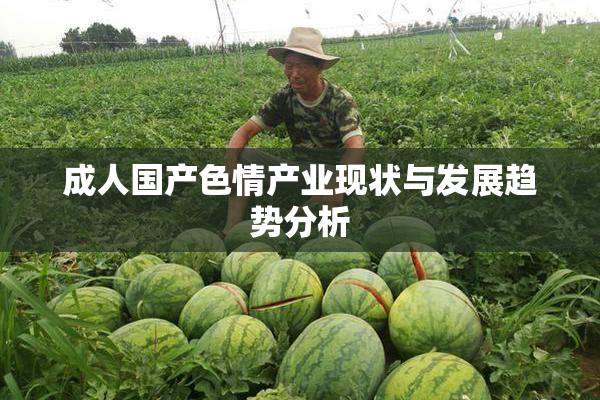 成人国产色情产业现状与发展趋势分析