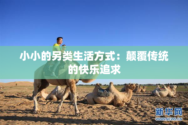 小小的另类生活方式：颠覆传统的快乐追求