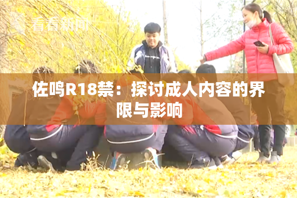 佐鸣R18禁：探讨成人内容的界限与影响