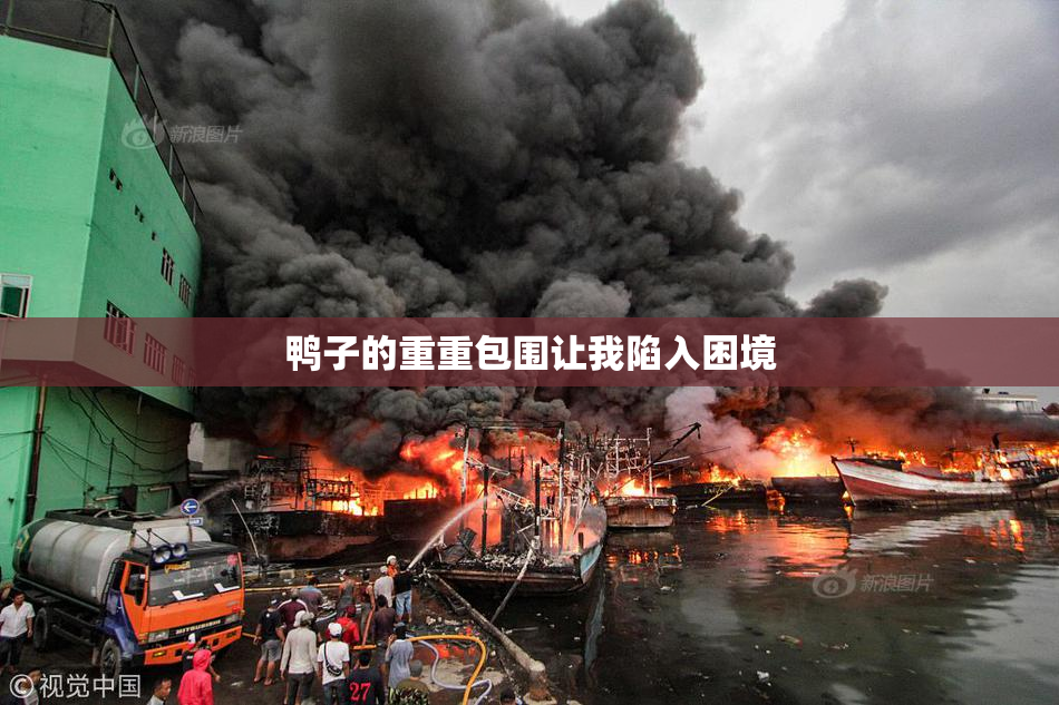 鸭子的重重包围让我陷入困境
