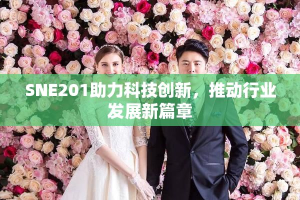 SNE201助力科技创新，推动行业发展新篇章