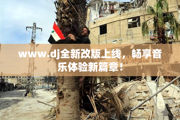 www.dj全新改版上线，畅享音乐体验新篇章！