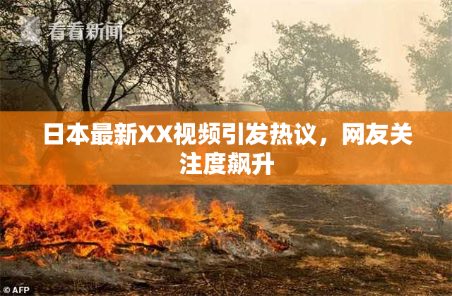 日本最新XX视频引发热议，网友关注度飙升