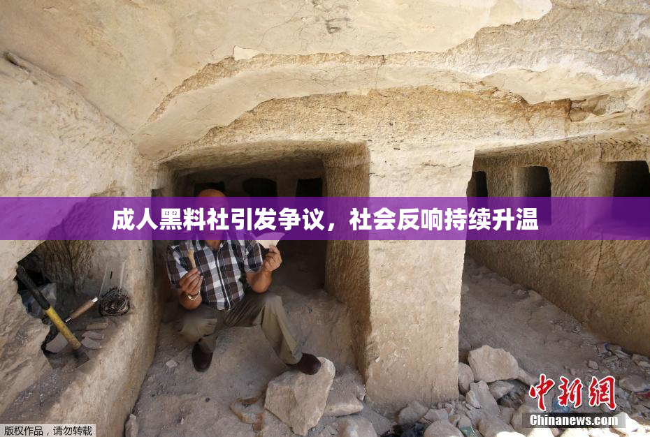 成人黑料社引发争议，社会反响持续升温