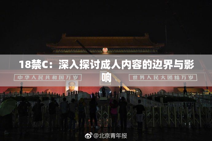 18禁C：深入探讨成人内容的边界与影响
