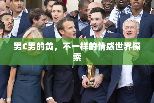 男C男的黄，不一样的情感世界探索