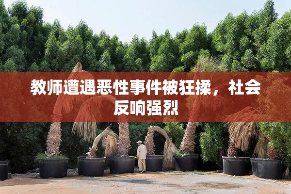 教师遭遇恶性事件被狂揉，社会反响强烈