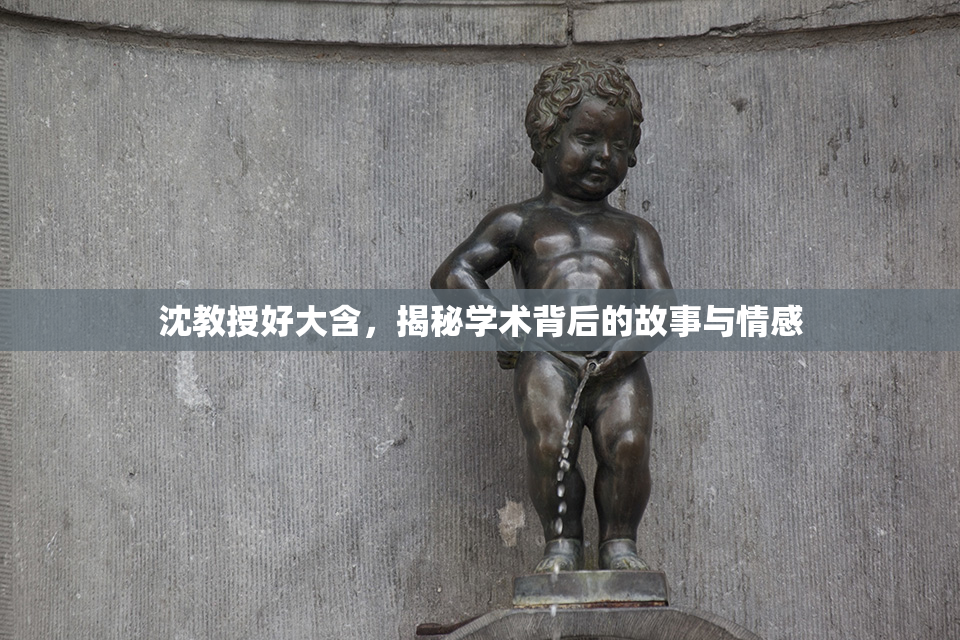 沈教授好大含，揭秘学术背后的故事与情感