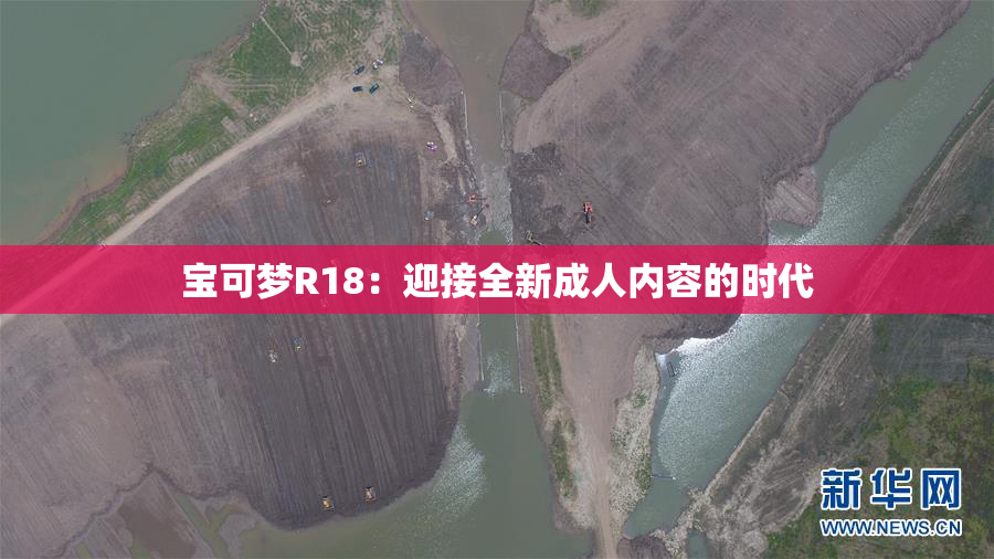 宝可梦R18：迎接全新成人内容的时代