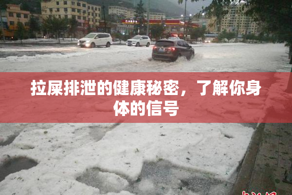 拉屎排泄的健康秘密，了解你身体的信号