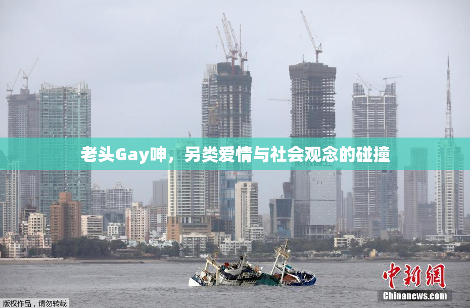 老头Gay呻，另类爱情与社会观念的碰撞