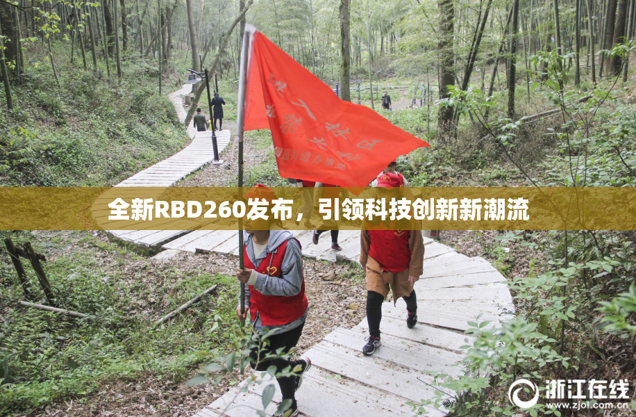全新RBD260发布，引领科技创新新潮流