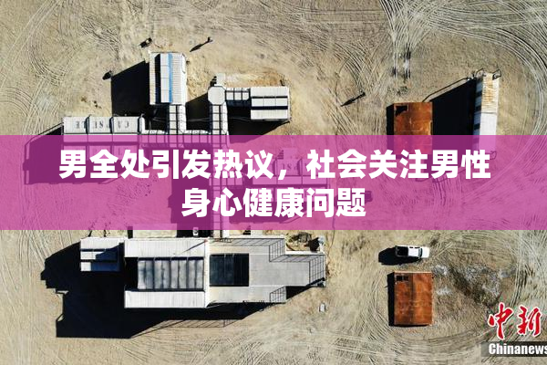 男全处引发热议，社会关注男性身心健康问题