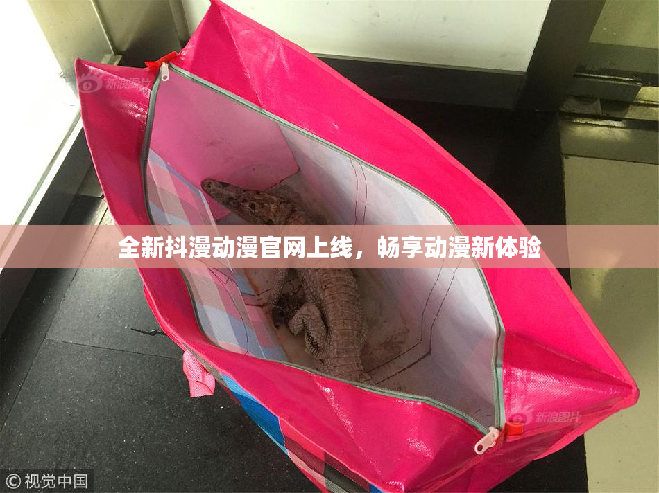 全新抖漫动漫官网上线，畅享动漫新体验