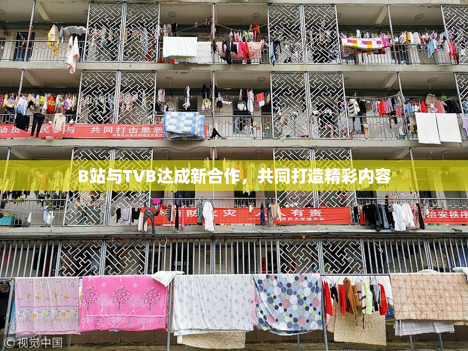 B站与TVB达成新合作，共同打造精彩内容