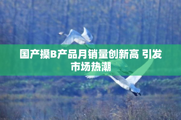 国产搡B产品月销量创新高 引发市场热潮