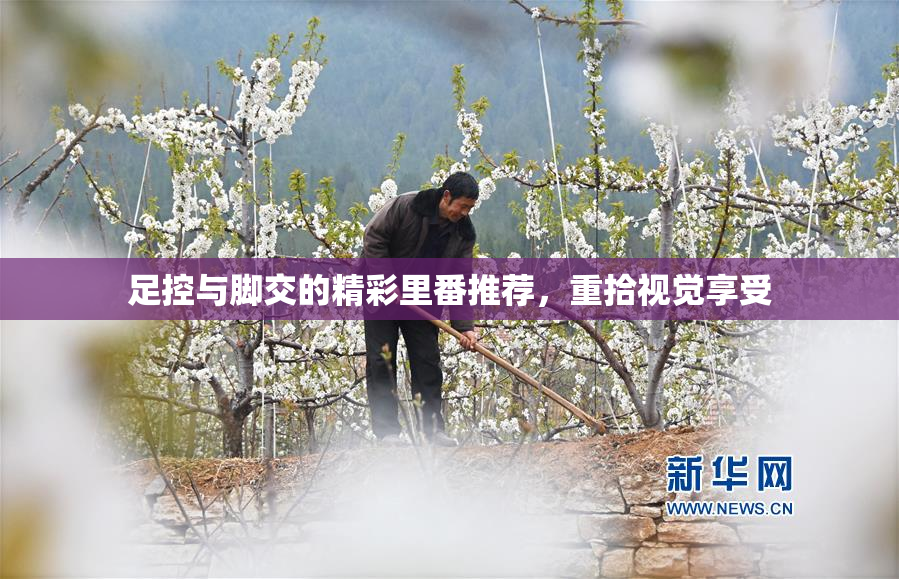 足控与脚交的精彩里番推荐，重拾视觉享受