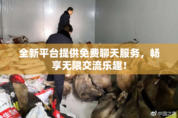 全新平台提供免费聊天服务，畅享无限交流乐趣！
