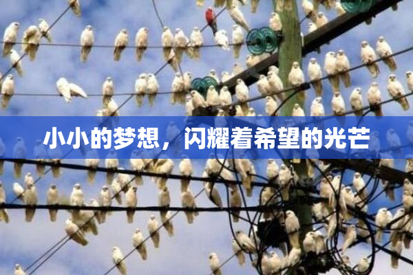 小小的梦想，闪耀着希望的光芒