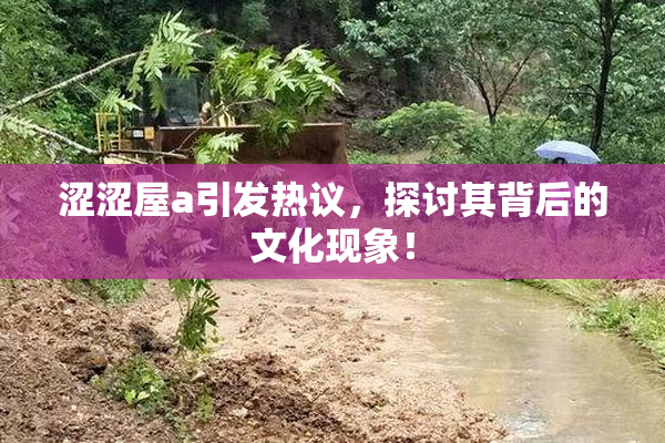 涩涩屋a引发热议，探讨其背后的文化现象！