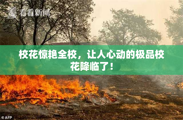 校花惊艳全校，让人心动的极品校花降临了！