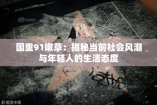 国重91嫩草：揭秘当前社会风潮与年轻人的生活态度