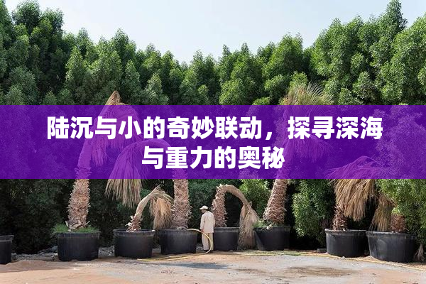 陆沉与小的奇妙联动，探寻深海与重力的奥秘