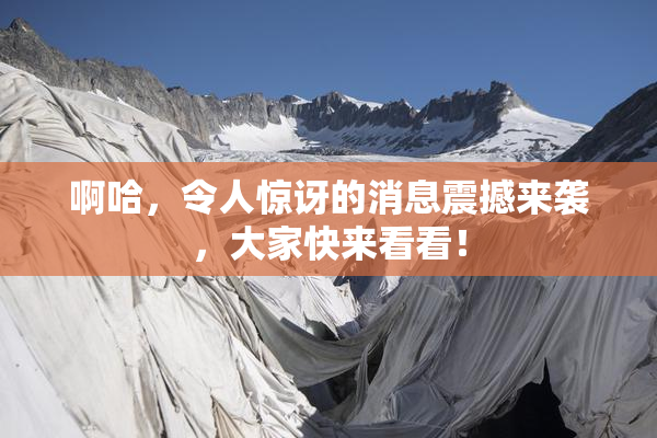 啊哈，令人惊讶的消息震撼来袭，大家快来看看！