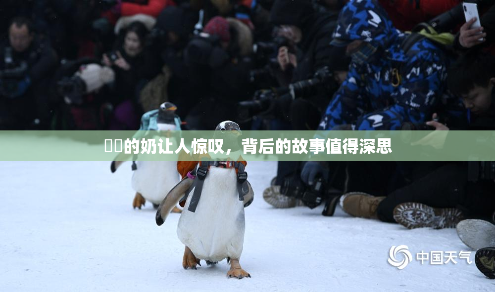 妺妺的奶让人惊叹，背后的故事值得深思