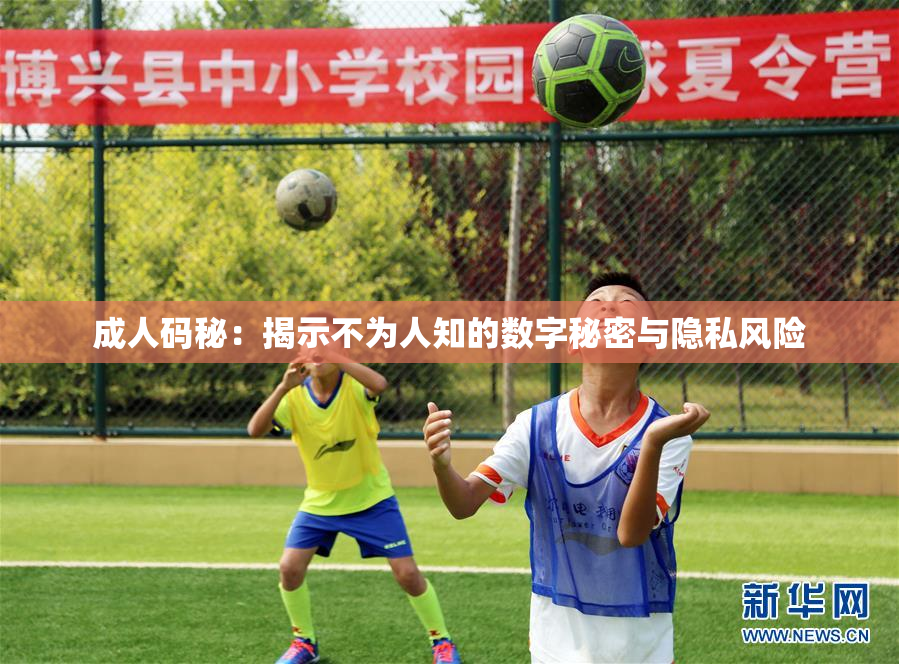 成人码秘：揭示不为人知的数字秘密与隐私风险