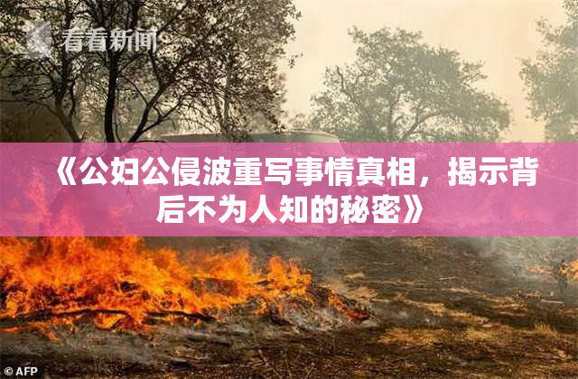 《公妇公侵波重写事情真相，揭示背后不为人知的秘密》