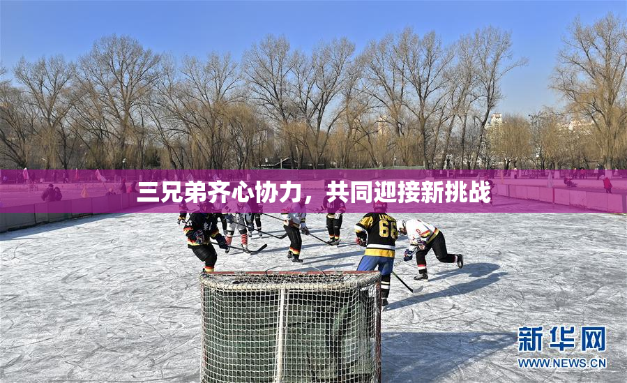 三兄弟齐心协力，共同迎接新挑战