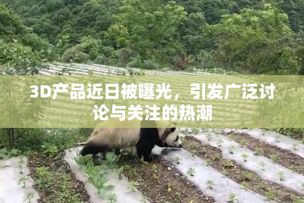 3D产品近日被曝光，引发广泛讨论与关注的热潮