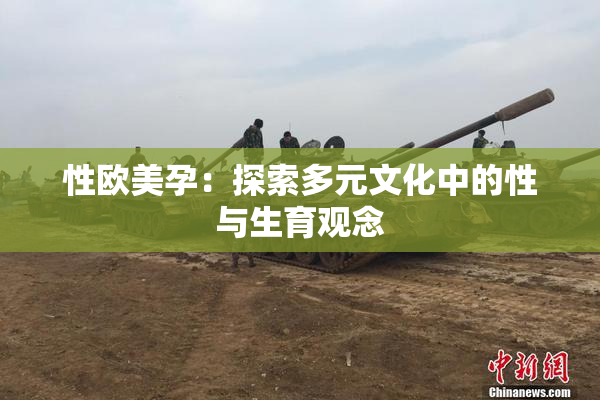 性欧美孕：探索多元文化中的性与生育观念