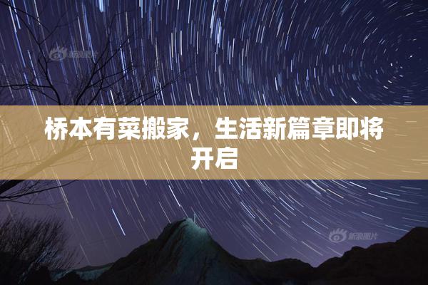 桥本有菜搬家，生活新篇章即将开启