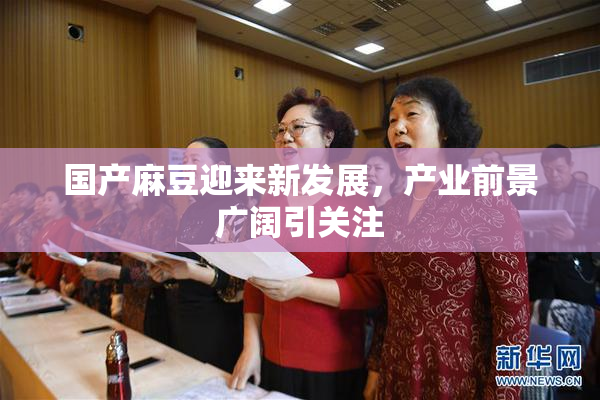 国产麻豆迎来新发展，产业前景广阔引关注