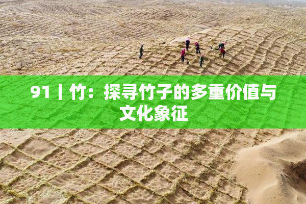 91丨竹：探寻竹子的多重价值与文化象征