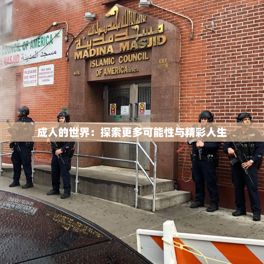 成人的世界：探索更多可能性与精彩人生