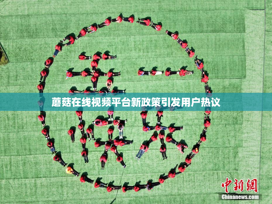 蘑菇在线视频平台新政策引发用户热议