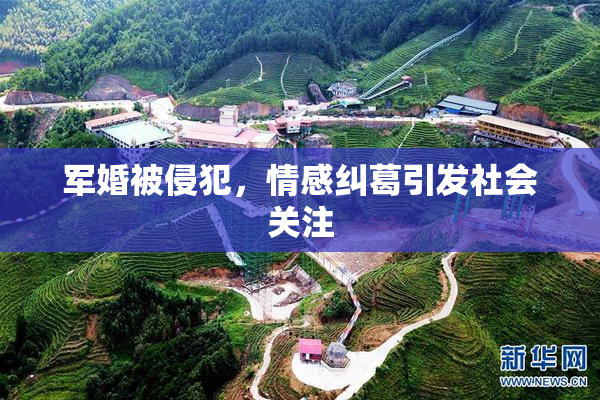 军婚被侵犯，情感纠葛引发社会关注